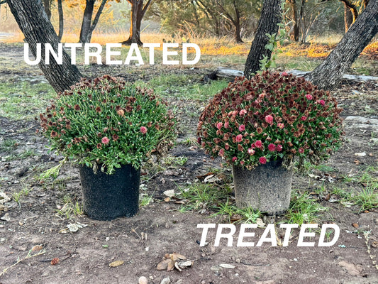 1 Gallon of Oh, Buck Off! (2TBS of powder, just add water)